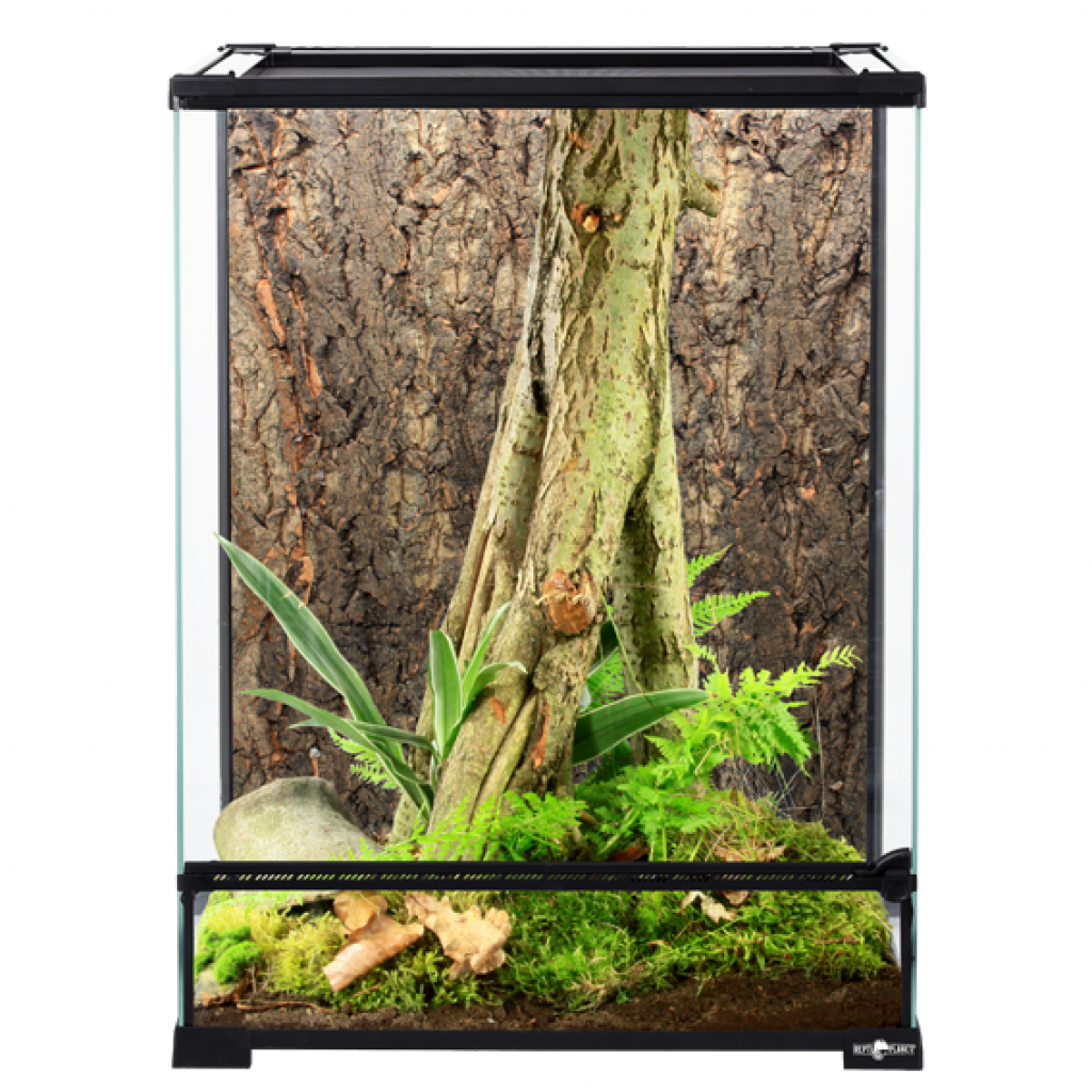 Glas Terrarium ReptiPlanet